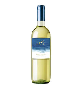 illi Pinot Grigio Delle Venezie Italy 2023