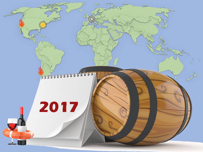 The Year in Wine