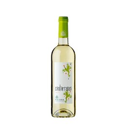 Cantarranas Verdejo Rueda Spain 2024