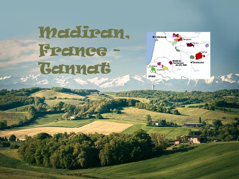 Madiran: The Tiny but Mighty Wine Region of France