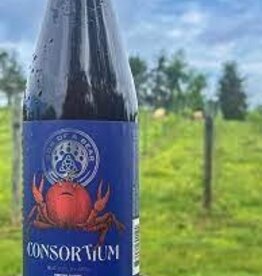 Son of a Bear Consortium Virginia NV