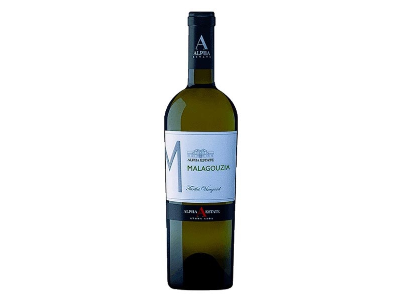 Alpha Estate Turtles Vineyard Malagouzia Macedonia Greece 2023