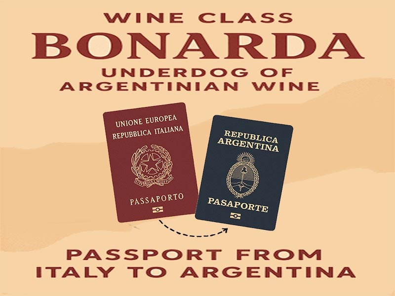 City Vino University - Bonarda: The Underdog Superhero of Argentina