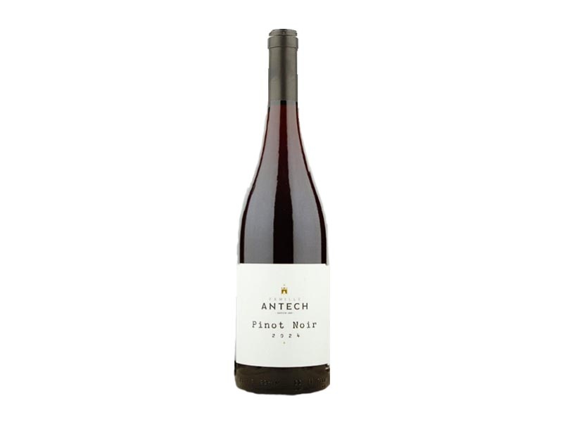 Antech Pinot Noir Limoux Languedoc France 2024