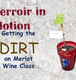 City Vino University - Terroir in Motion, Getting the Dirt on Merlot