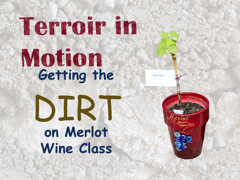 City Vino University - Terroir in Motion, Getting the Dirt on Merlot