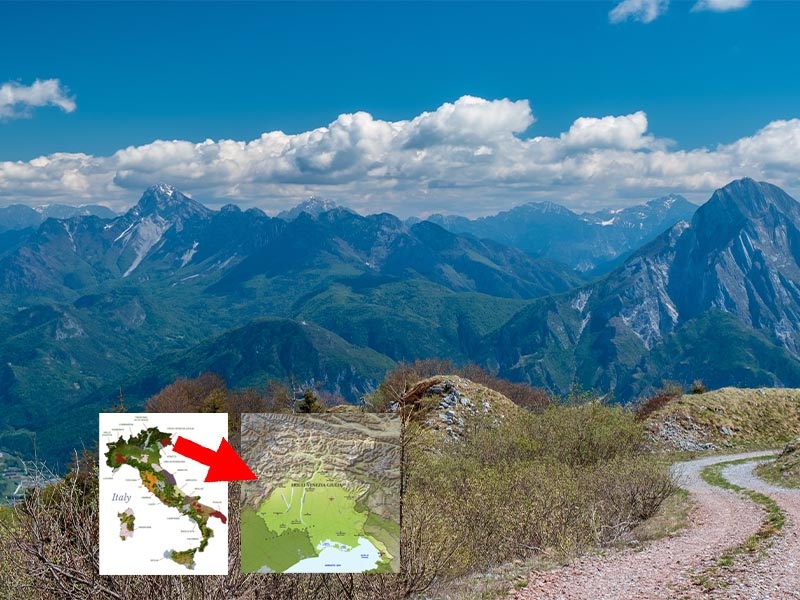 Where Mountains Meet the Sea: The Quiet Elegance of Friuli-Venezia Giulia