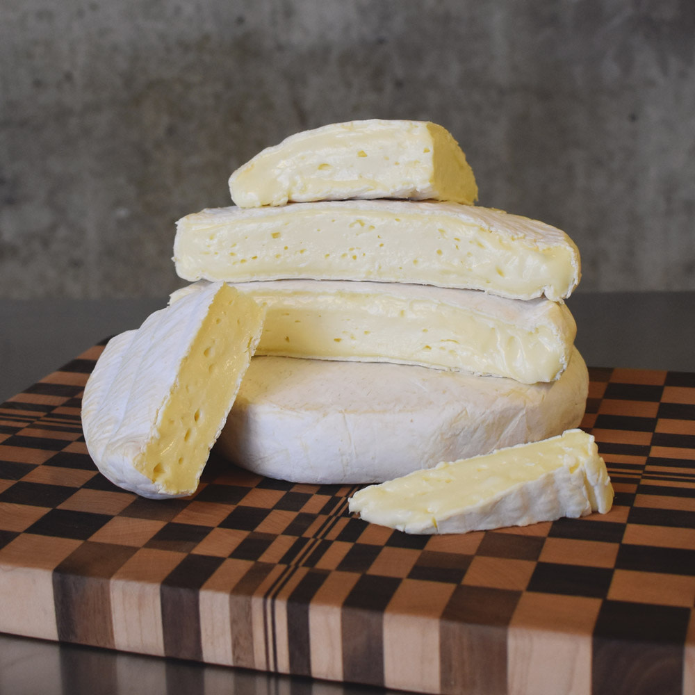 cheese - Jasper HIll Moses Sleeper MIni