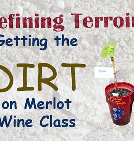 City Vino Wine Class: Defining Terroir, Getting the Dirt on Merlot