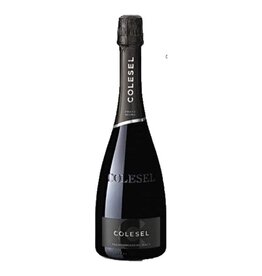 Colesel Brut Prato Scuro Metodo Valdobbiadene Prosecco Superiore Veneto Italy NV