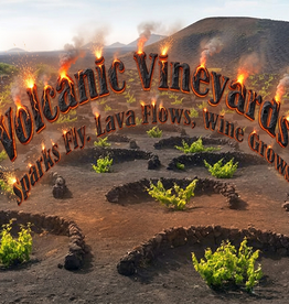 Wine Class: Volcanic Vineyards. Sparks Fly. Lava Flows. Wine Grows.
