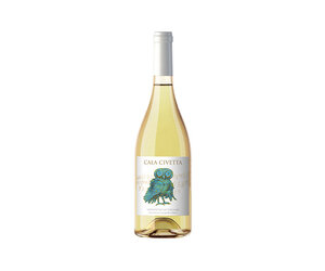 Vínculo Eterno Somnium Vintage 2019 限定版 Cantina del Morellino di Scansano Cala Civetta Vermentino di