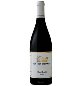 Gunther Steinmetz Pinot Meunier Mosel Germany 2023