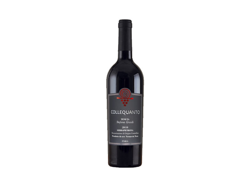 Terre di Serrapetrona Vernaccia Nera Collequanto Serrapetrona DOC Marche Italy 2020