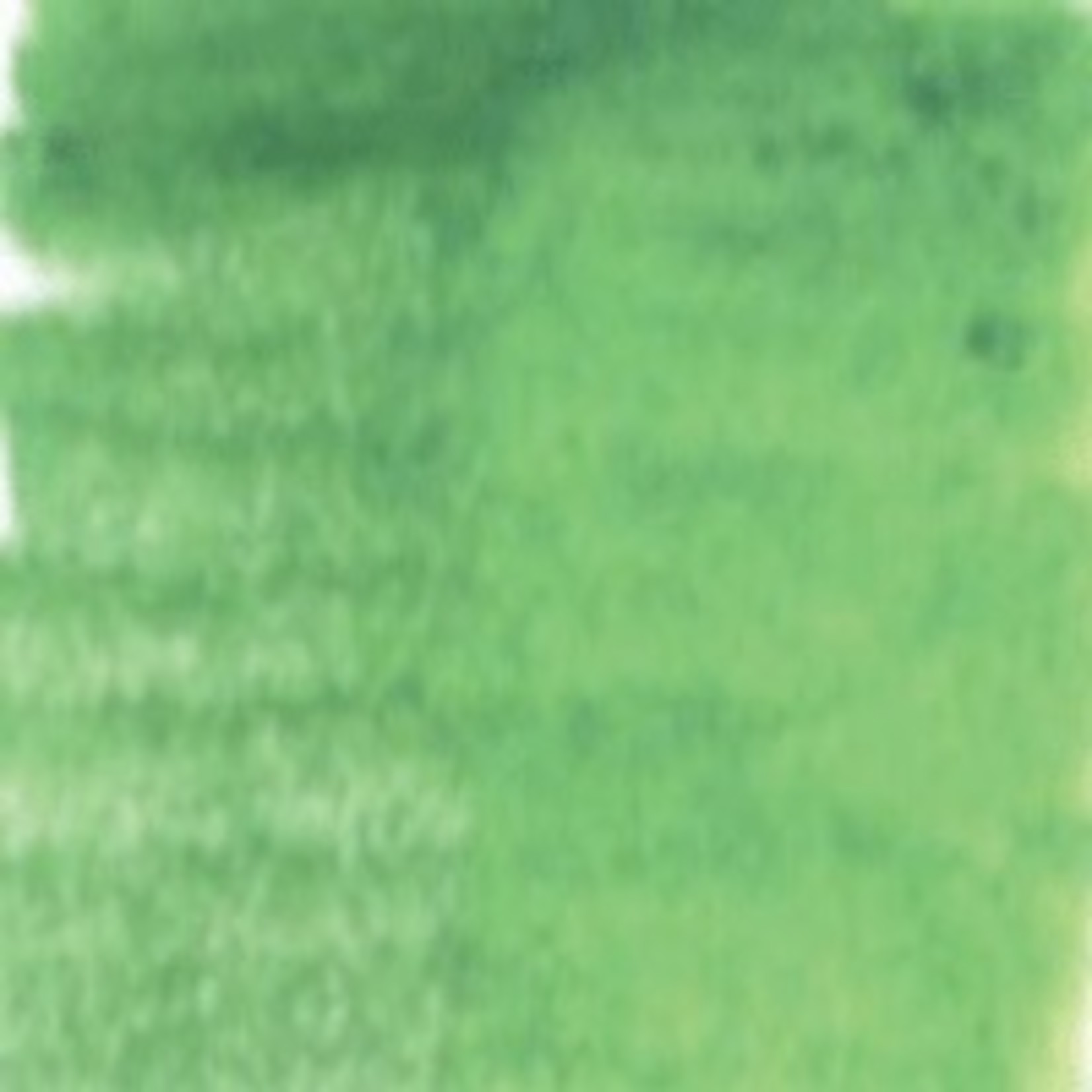 DERWENT DERWENT INKTENSE BLOCK APPLE GREEN