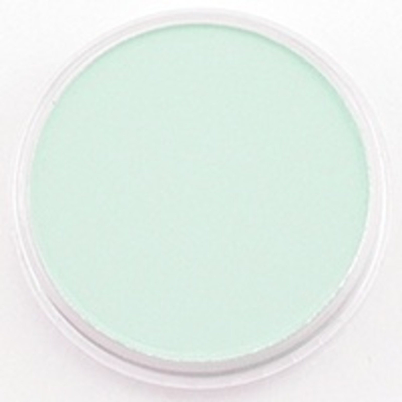 Pan Pastel PAN PASTEL PERMANENT GREEN TINT 640.8