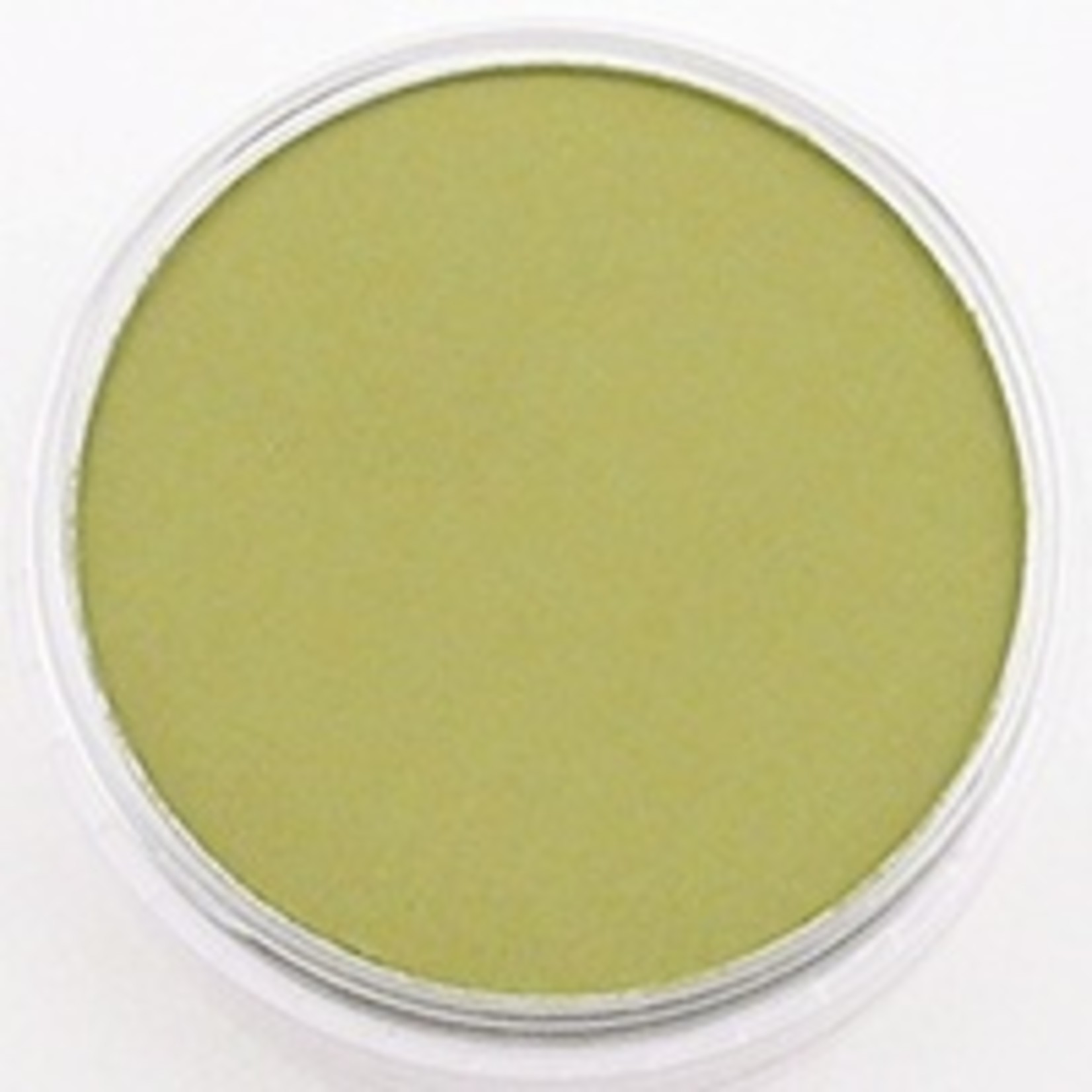 Pan Pastel PAN PASTEL BRIGHT YELLOW GREEN SHADE 680.3