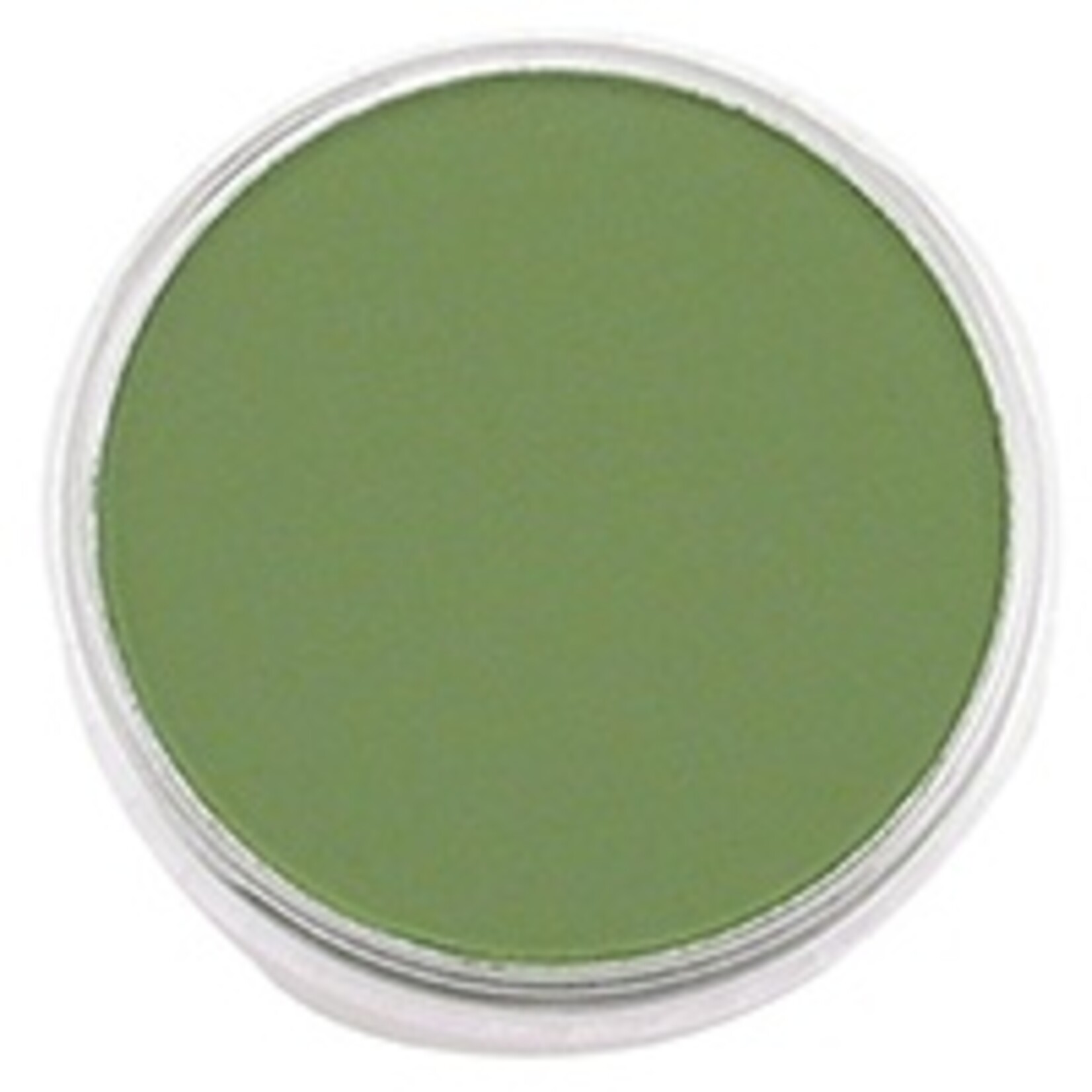 Pan Pastel PAN PASTEL CHROME OXIDE GREEN 660.5