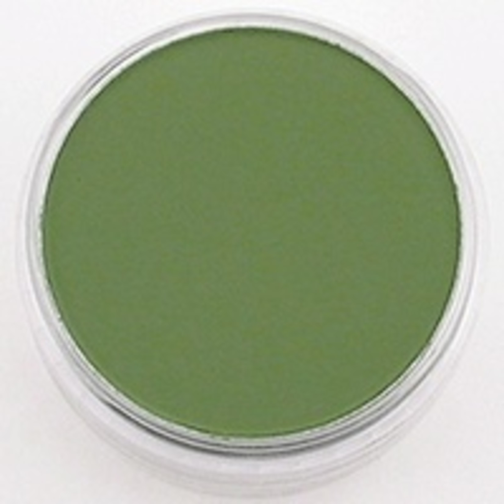 Pan Pastel PAN PASTEL CHROME OXIDE GREEN  SHADE 660.3