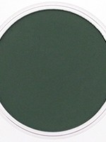 Pan Pastel PAN PASTEL PERMANENT GREEN EXTRA DARK 640.1