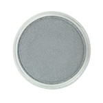 Pan Pastel PAN PASTEL METALLIC PEWTER 921.5