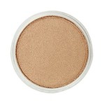 Pan Pastel PAN PASTEL METALLIC BRONZE 930.5