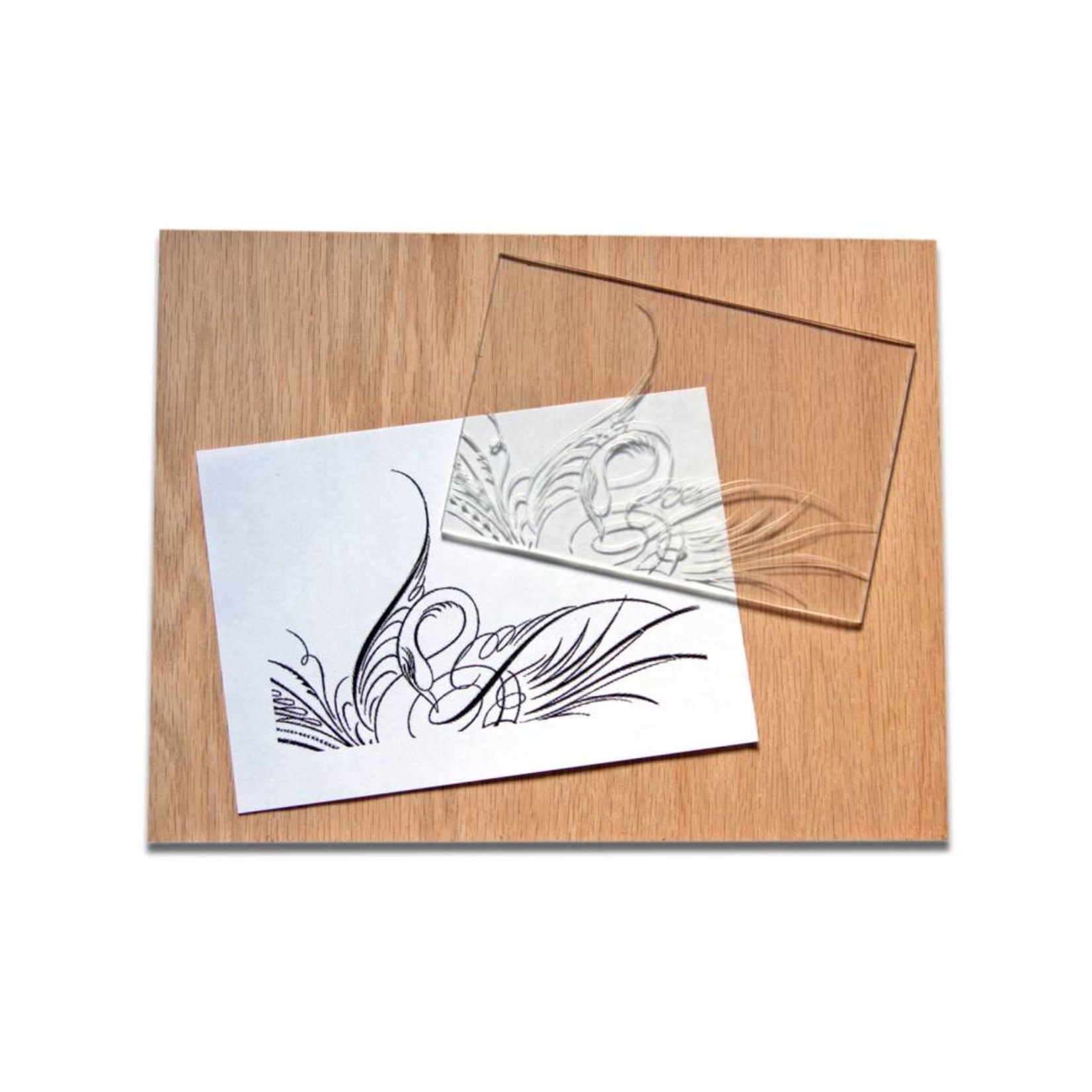 JACK RICHESON RICHESON CLEAR CARVE LINOLEUM 12X12    RIC-688009