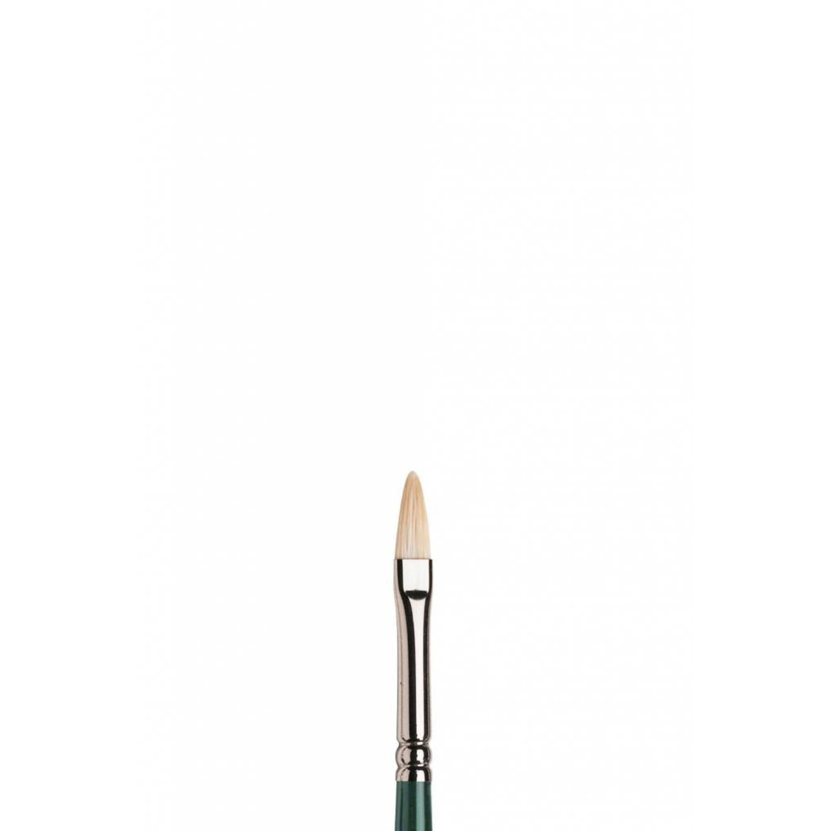 WINSOR NEWTON WINTON BRUSH FILBERT 2