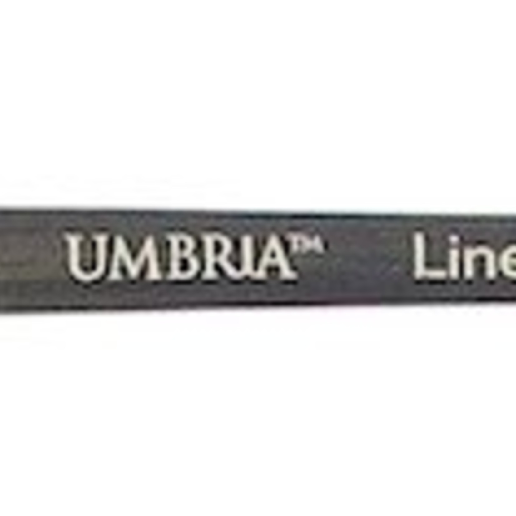 PRINCETON PRINCETON UMBRIA BRUSH SERIES 6250 SPECIAL SYNTHETIC SH LINER 4