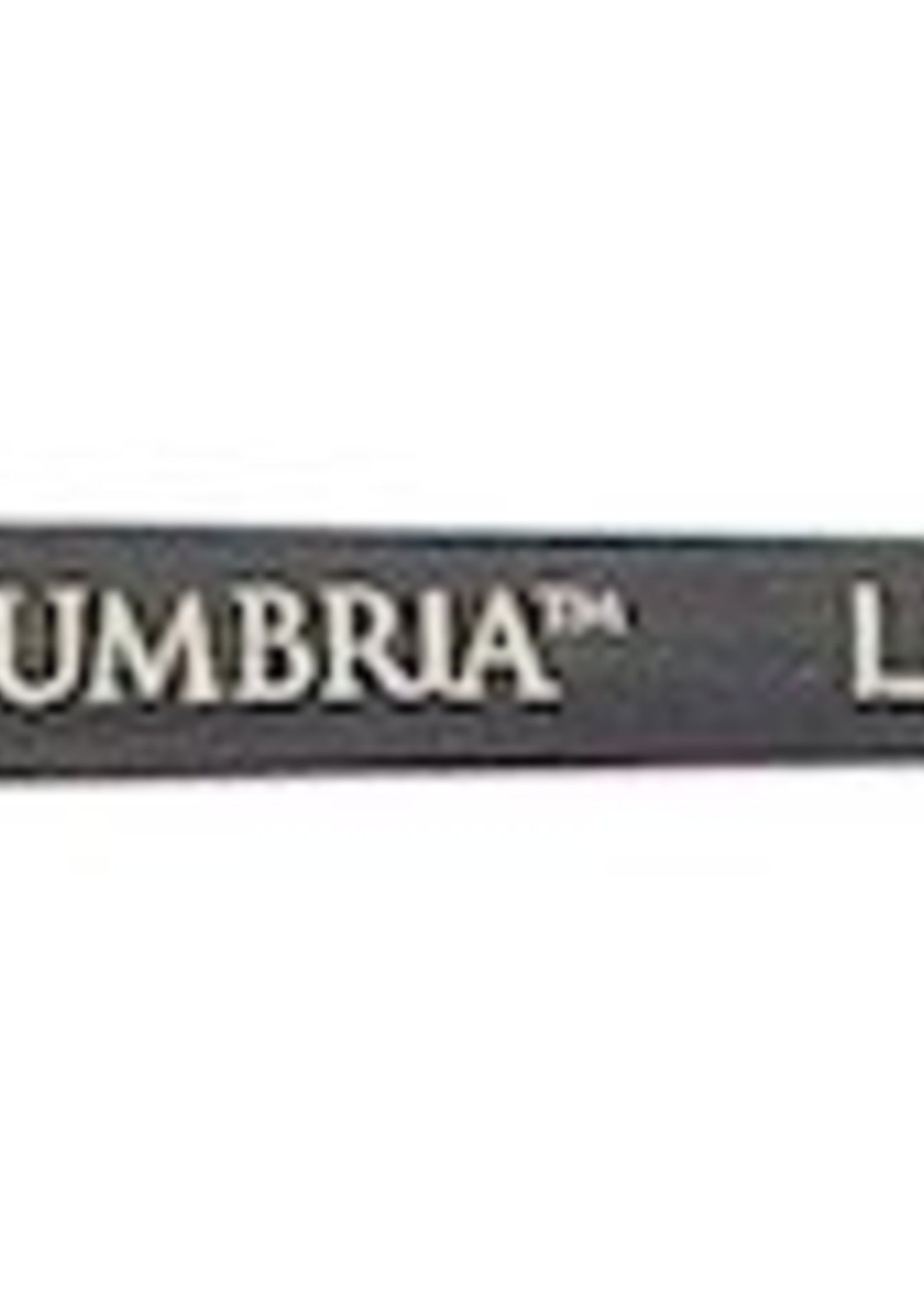 PRINCETON PRINCETON UMBRIA BRUSH SERIES 6250 SPECIAL SYNTHETIC SH LINER 4