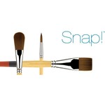 Princeton Snap! 9650 Brushes