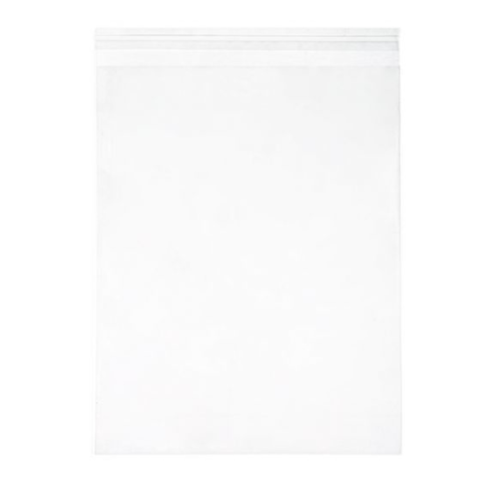 CLEARBAGS CLEAR BAG 11X14 EA