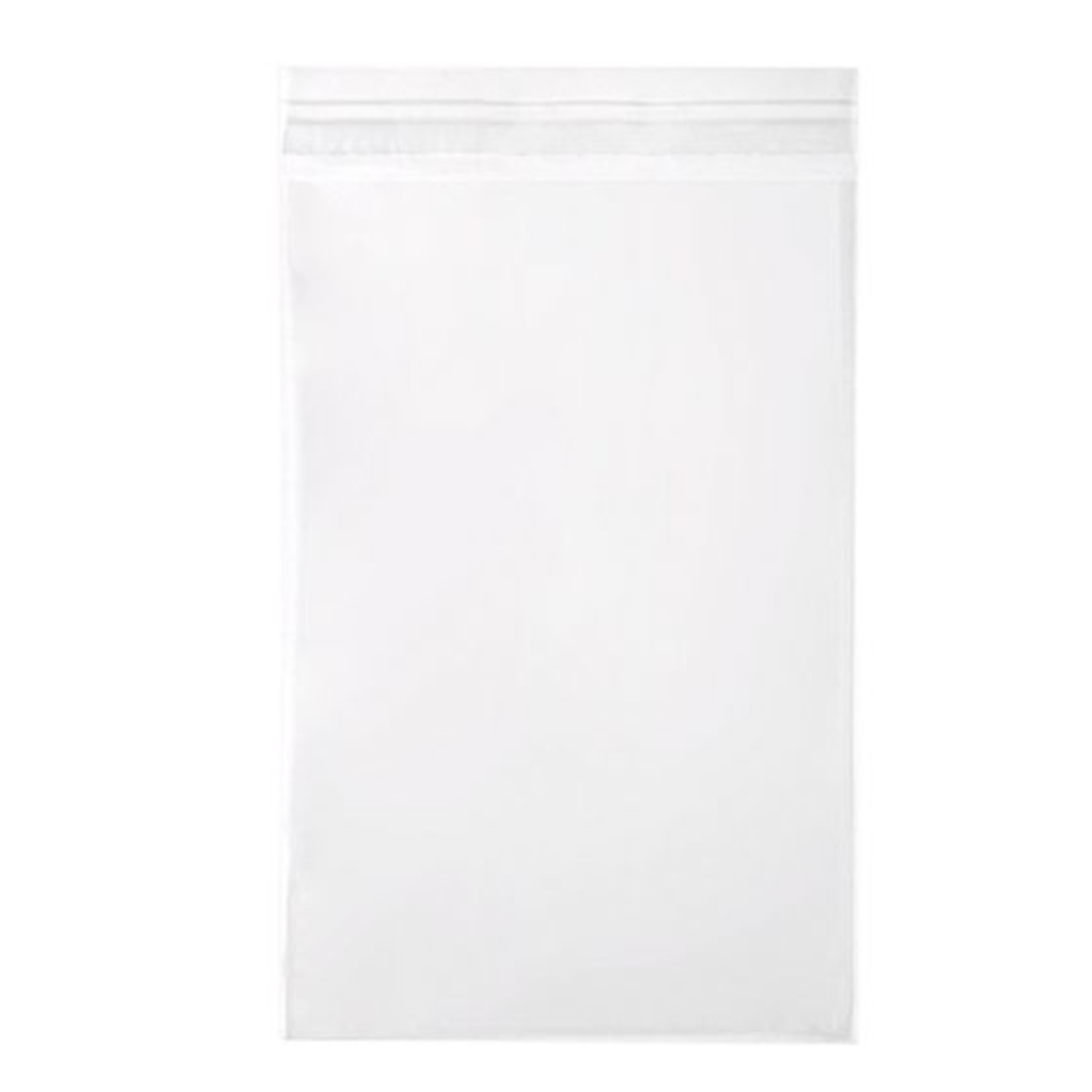 CLEARBAGS CLEAR BAG 6X8 EA