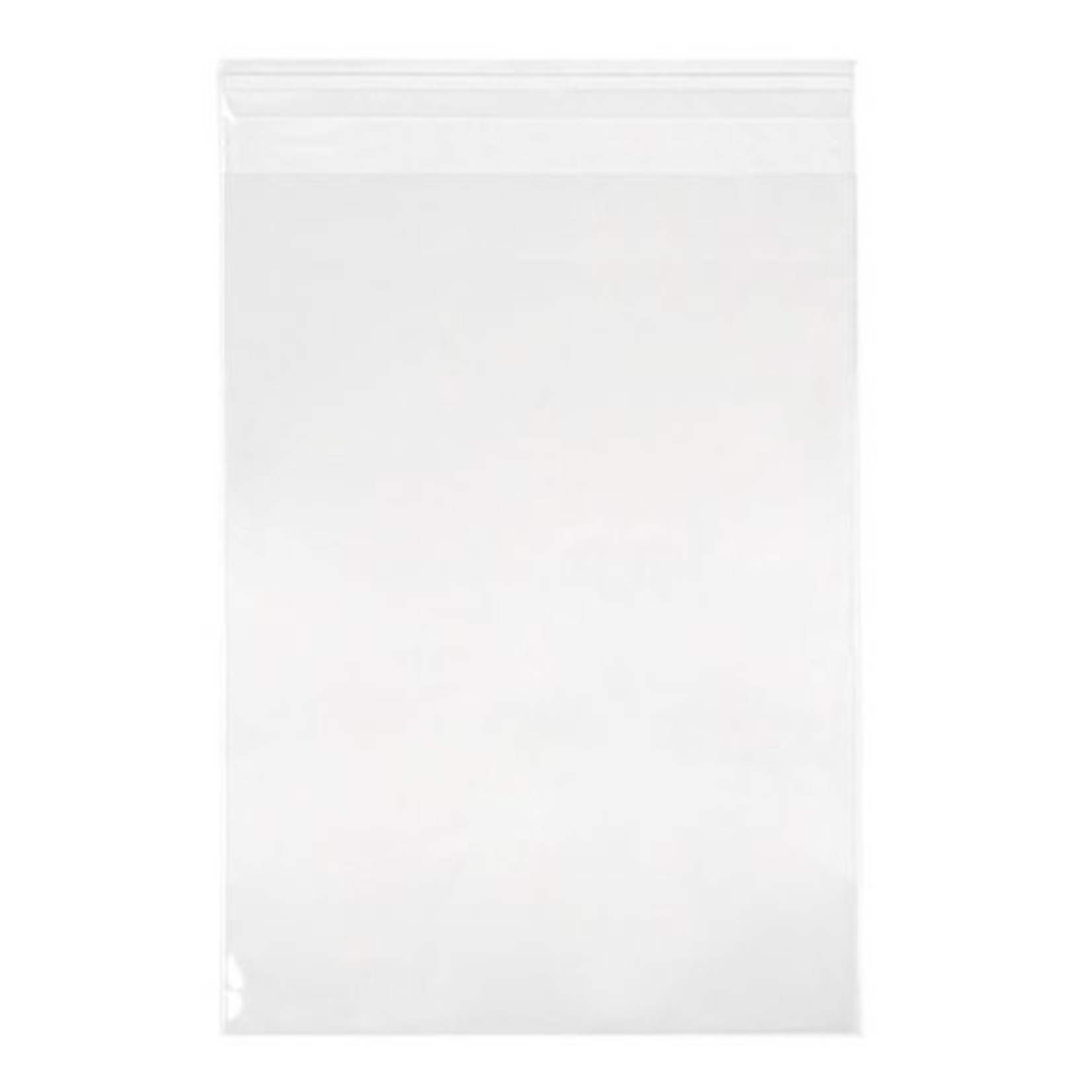 CLEARBAGS CLEAR BAG 8.5X11 EA