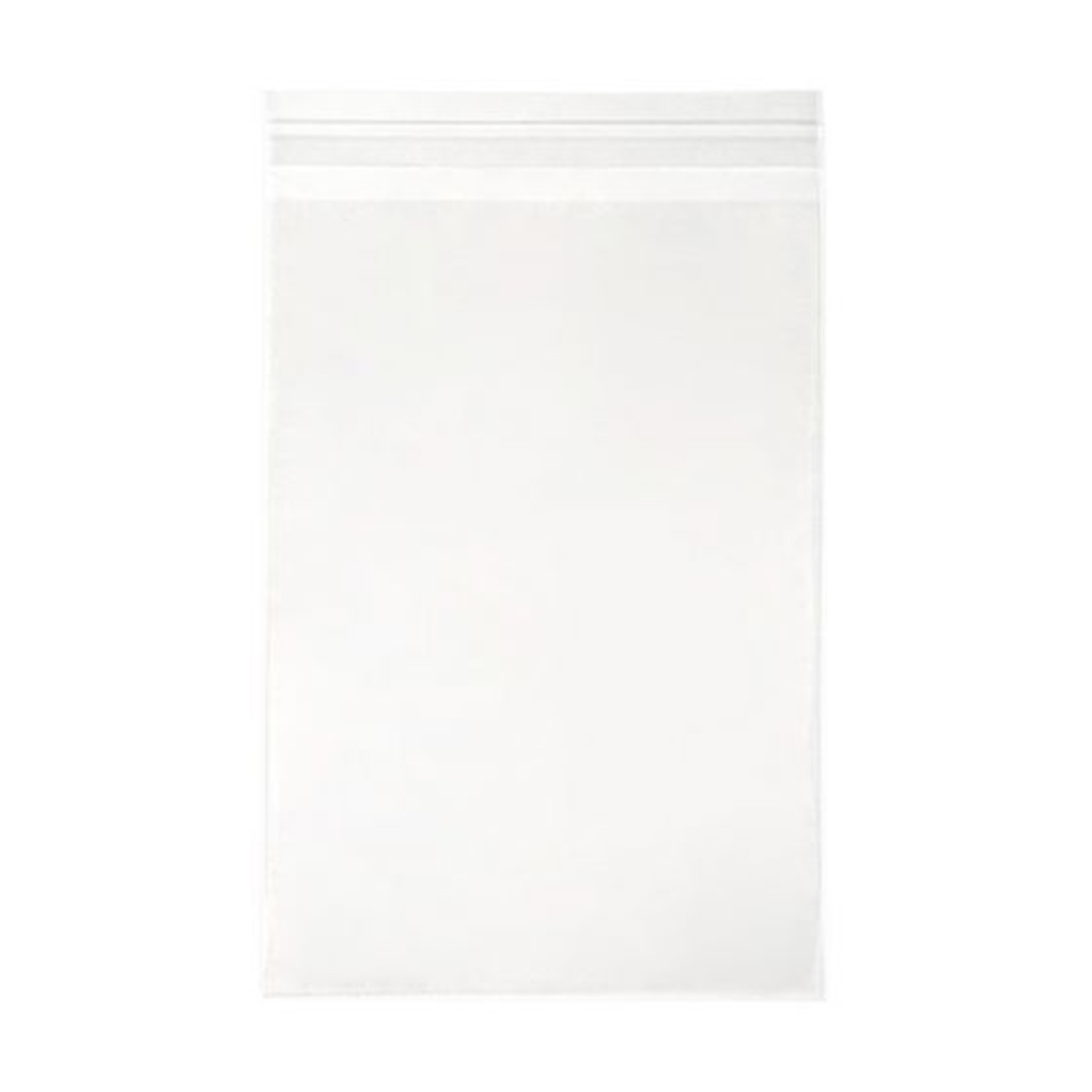 CLEARBAGS CLEAR BAG 8X10 EA