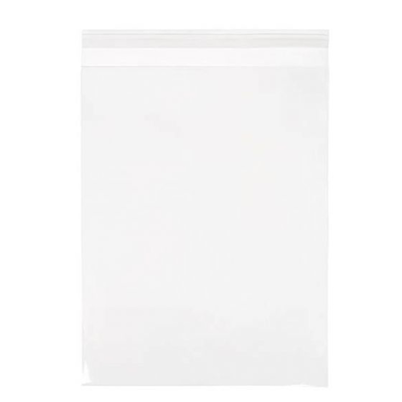 CLEARBAGS CLEAR BAG 9X12 EA