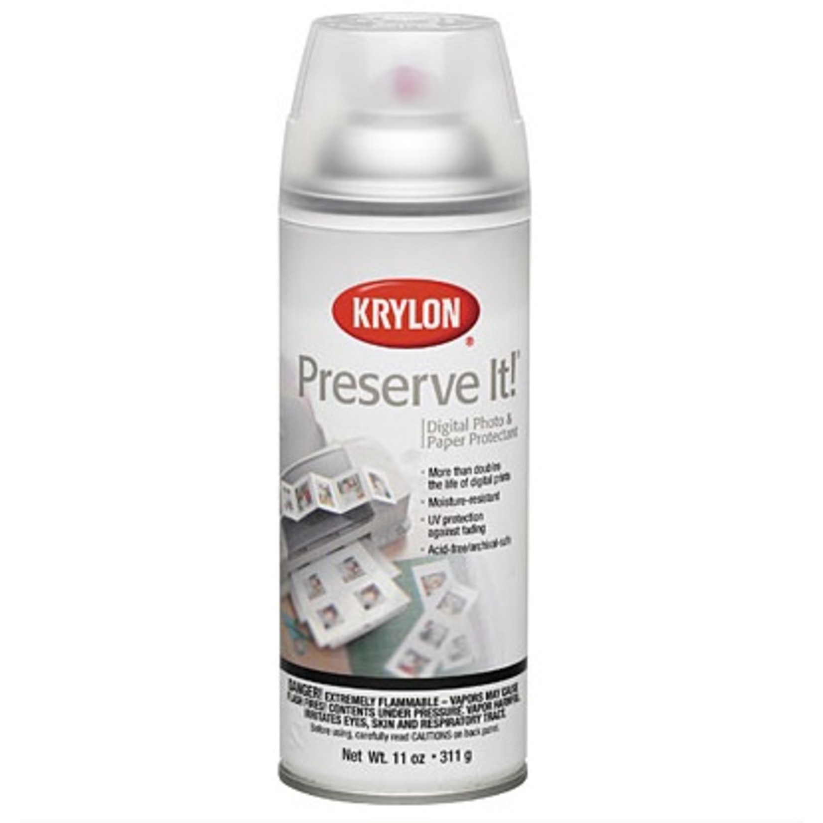 KRYLON KRYLON PRESERVE IT MATTE 12OZ    7027