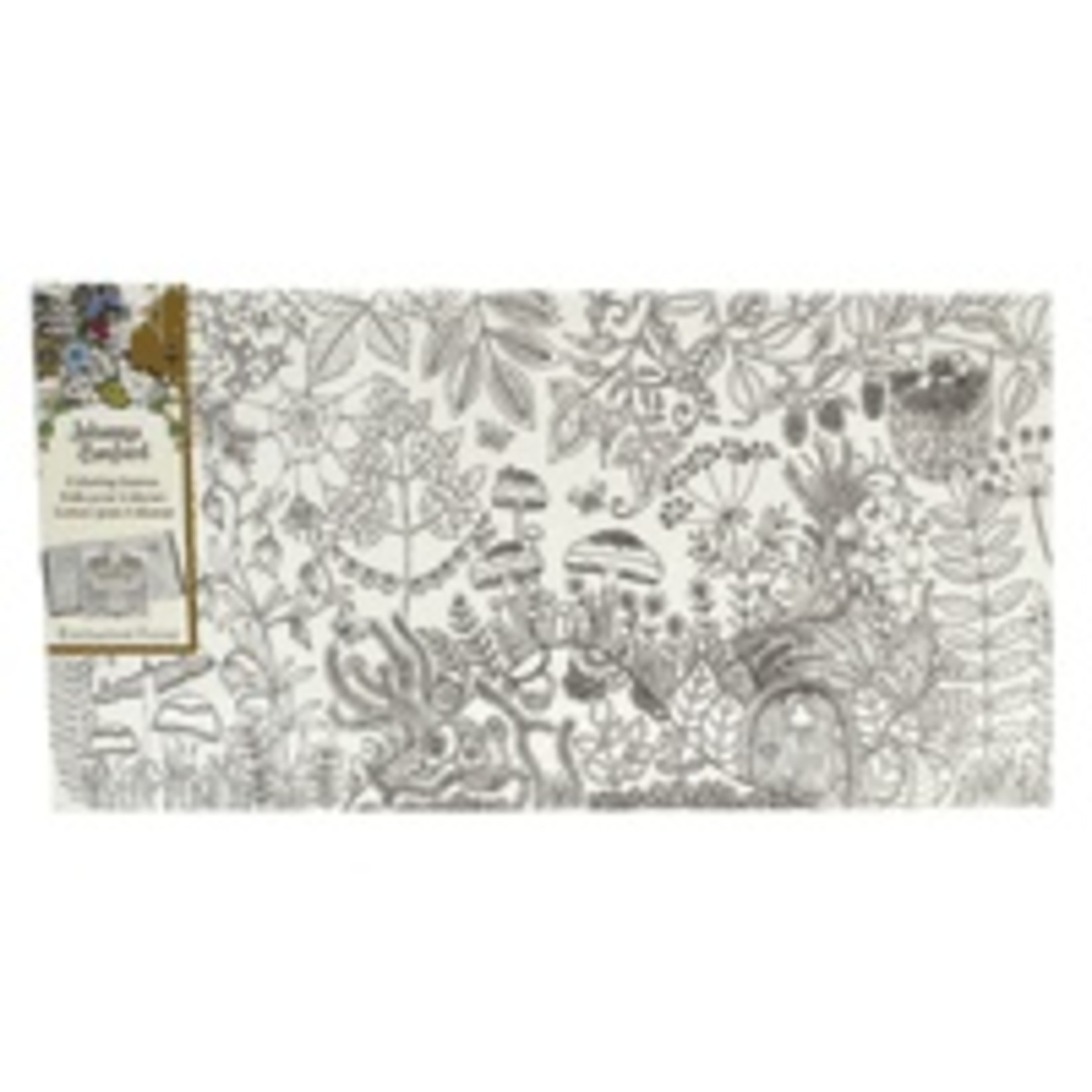 ART ALTERNATIVES JOHANNA BASFORD COLORING CANVAS 12X24 MUSHROOM