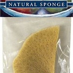 Sponges