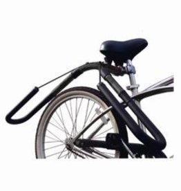 delta rear bike rack