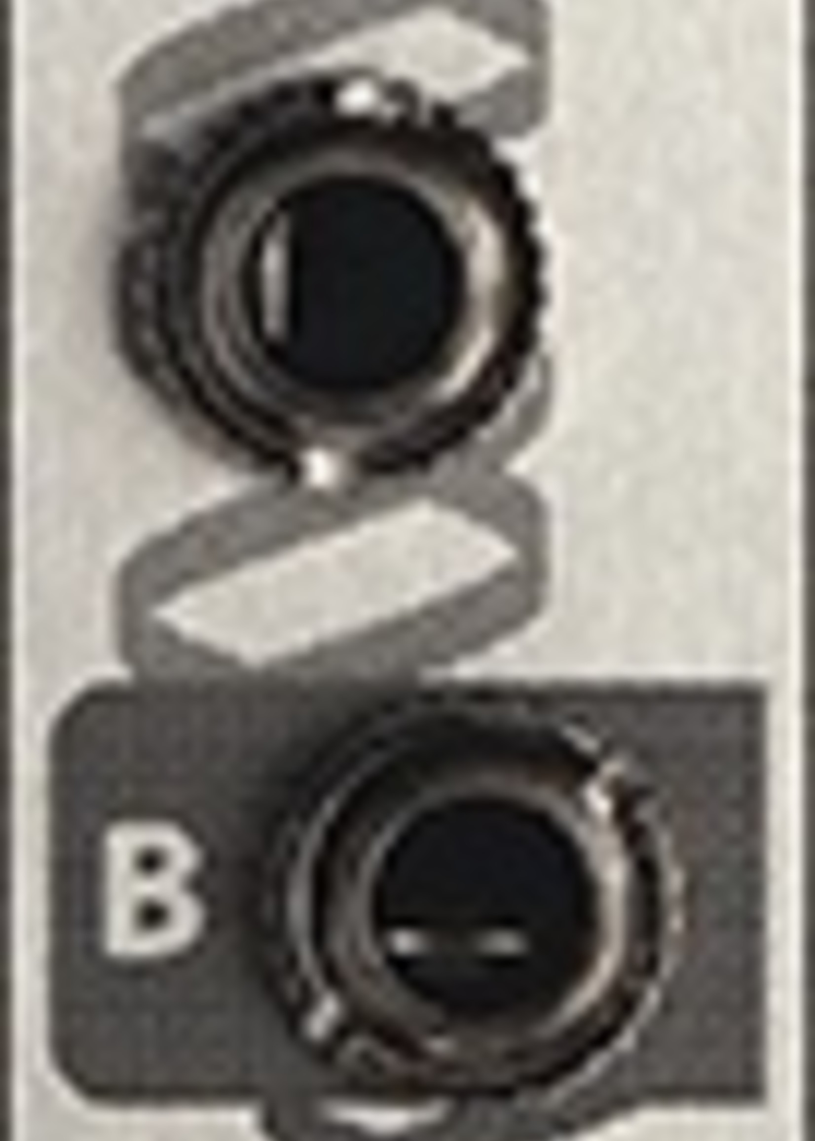 Steady State Fate Clone