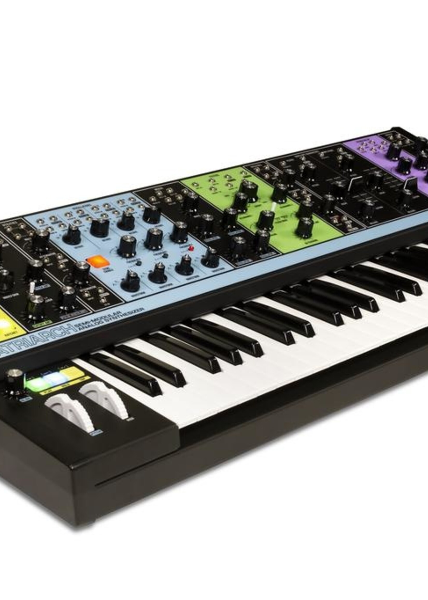 Moog Matriarch