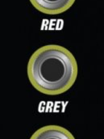 Steady State Fate Quantum Rainbow 2, BLACK