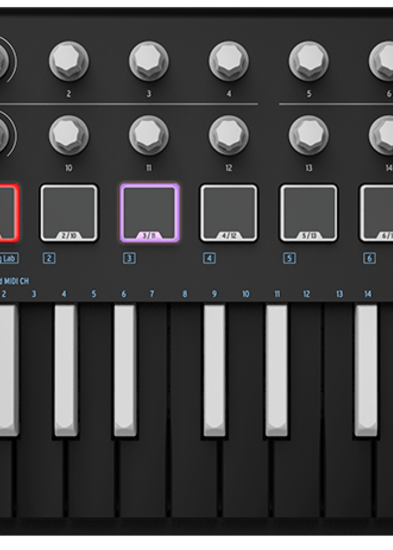 Arturia MiniLab mkII, INVERTED (Black)