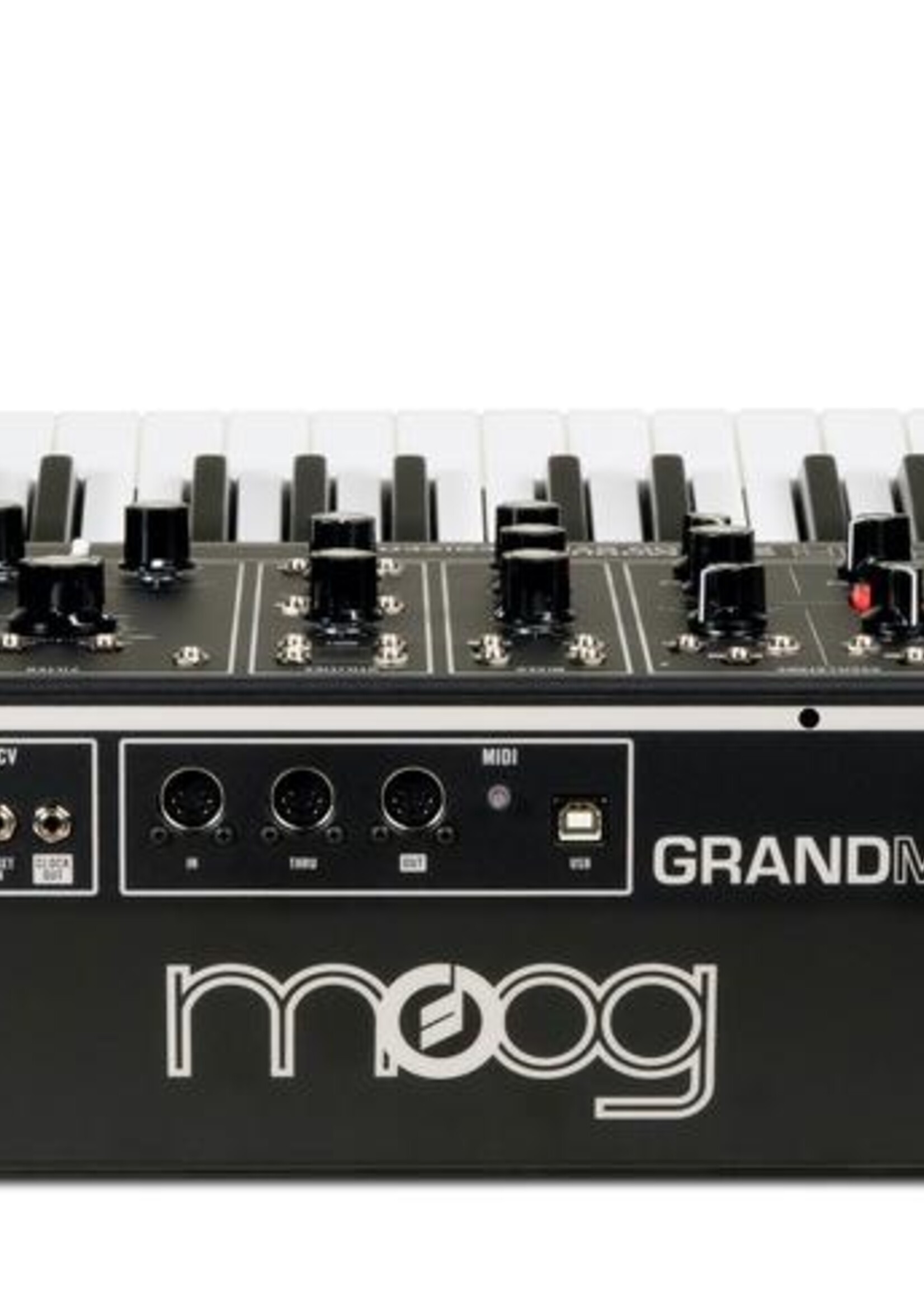 Moog Grandmother Dark