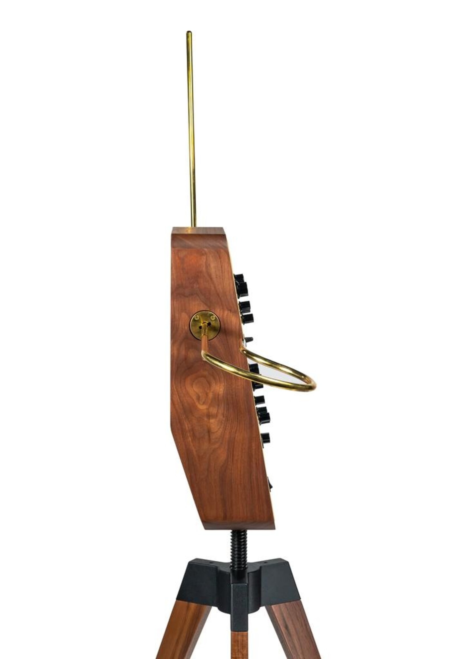 Moog Claravox Centennial