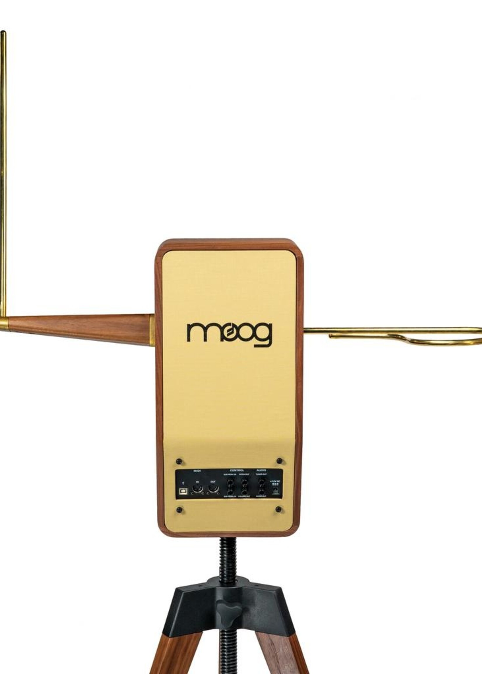 Moog Claravox Centennial