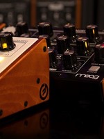 Moog Wood Sides (for Minitaur)