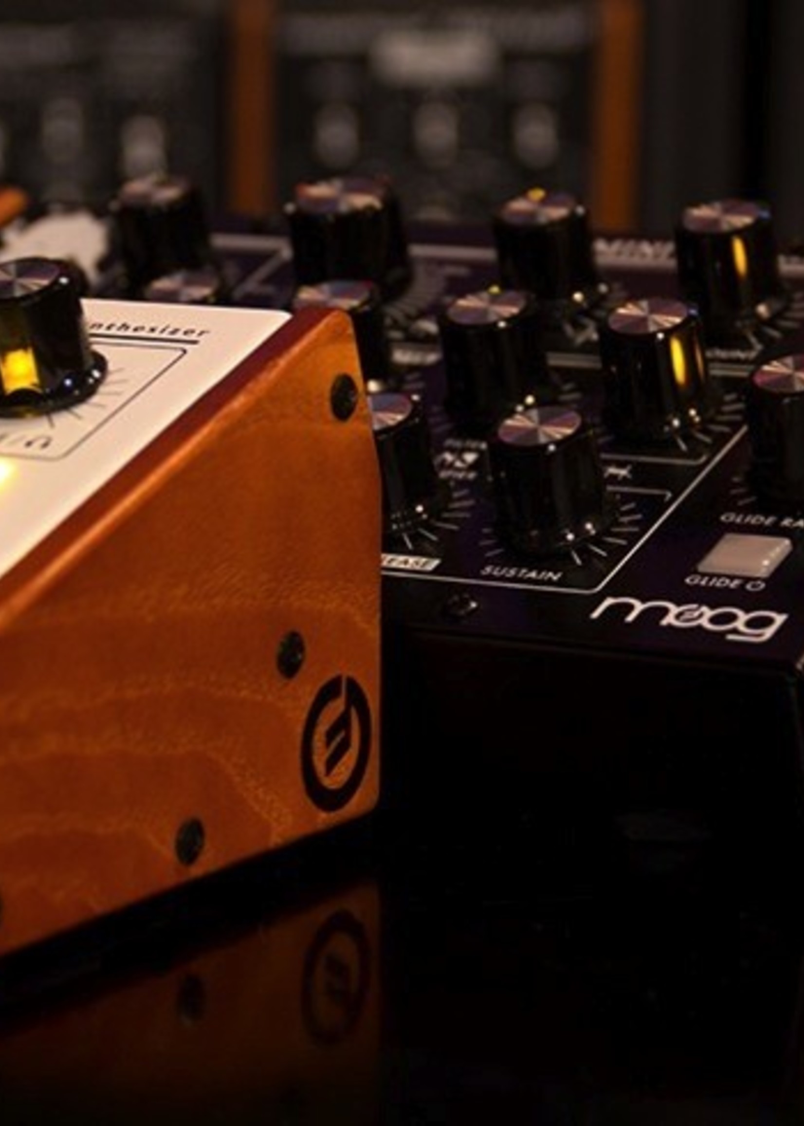 Moog Wood Sides (for Minitaur)