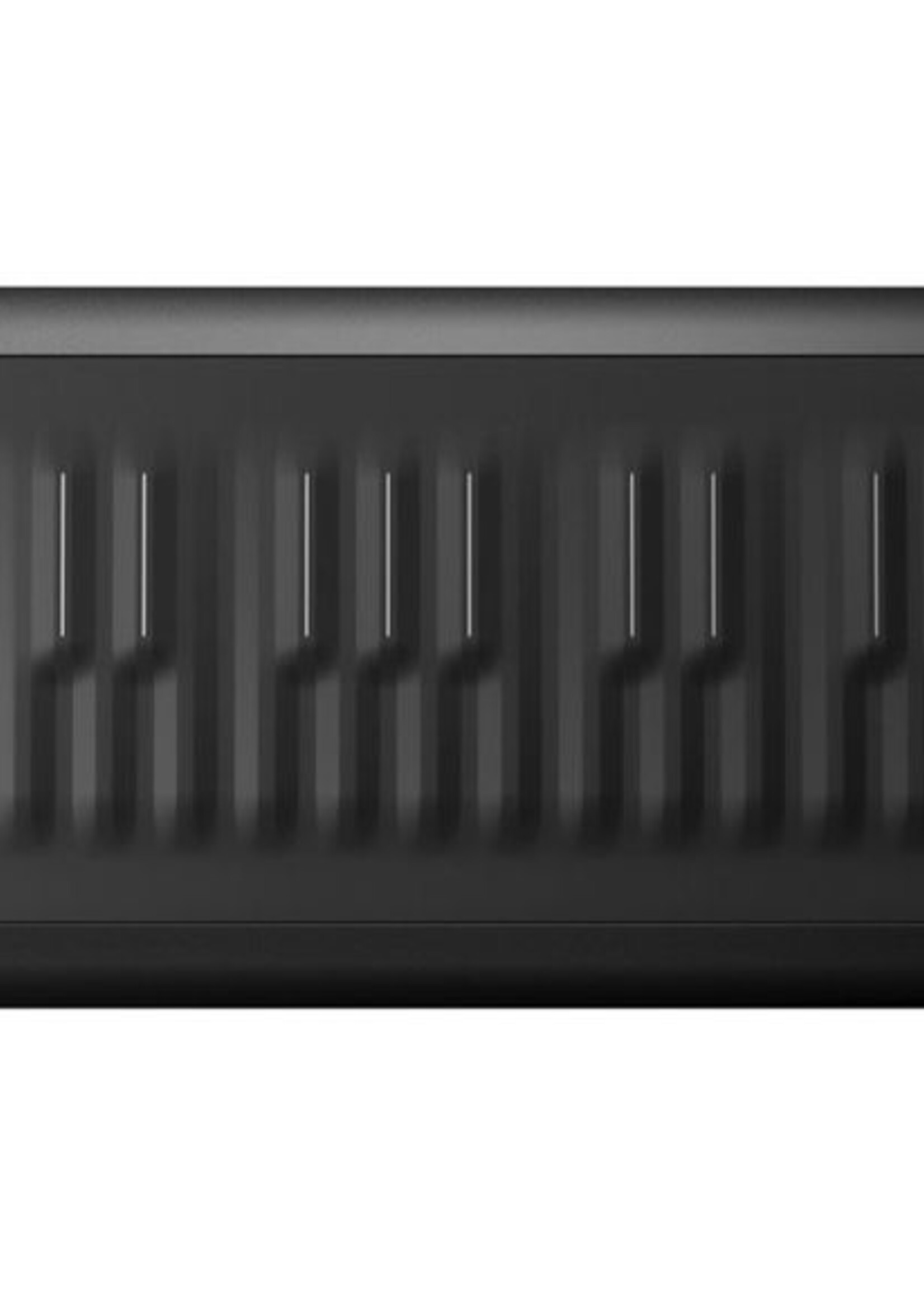 ROLI Seaboard RISE 25